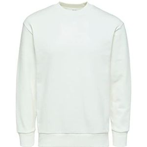 Selected Homme Sweatshirt voor heren, gebreid, Egret, XL