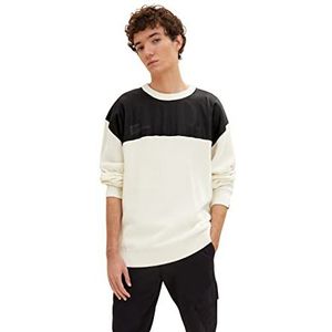 TOM TAILOR Denim Uomini Pullover met nylon 1033755, 10338 - Soft Light Beige, XXL