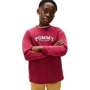 TOMMY HILFIGER Shirt  bessen / wit