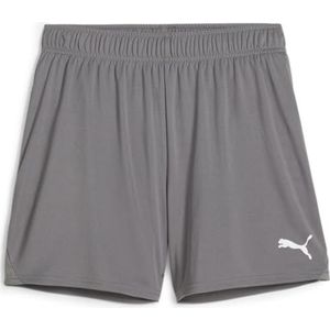 PUMA teamGOAL Handbalshort W
