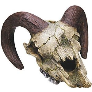 Nobby Ram Skull Aquarium Ornamenten, 17,5 x 16 x 9,5 cm
