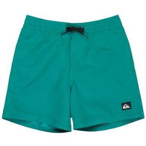 Quiksilver Boardshorts EVERYDAY SOLID VOLLEY YTH 14 Jeugd Blauw 8, Groen, 8 Jaren
