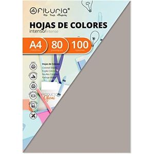 Verpakking van 100 vellen, grijs, A4, 80 g