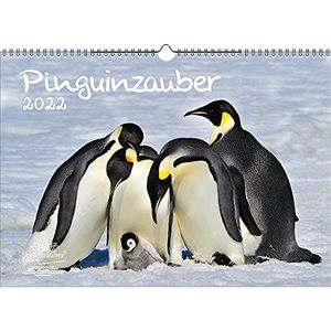 Seelenzauber Pinguïn Magie DIN A3 Kalender Voor 2022