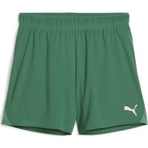 PUMA teamGOAL Handbalshort W