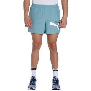 Puma Sportshorts voor heren, standaard