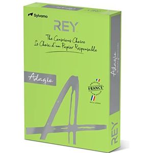 REY® ADAGIO Reprogramma papier, anijs, 80 g, A3, PEFC™, 500 vellen