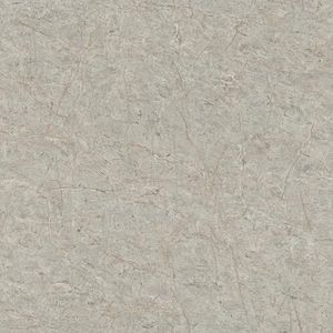 Rasch SCHÖNER WOHNEN-collectie vliesbehang MARBLE 600988 met marmerlook in grijs - 10,05 m x 0,53 m