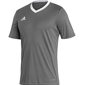 adidas, Entrada22, Voetbal T-shirt, Team Grey Vier, XL, Man