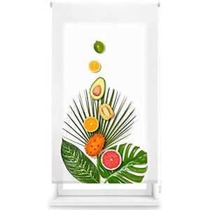 Blindecor Digitale keuken | Transparant rolgordijn met digitale print | TropicalFruit | 90 x 180 cm (breedte x hoogte) stofgrootte 87 x 175 cm | rolgordijnen