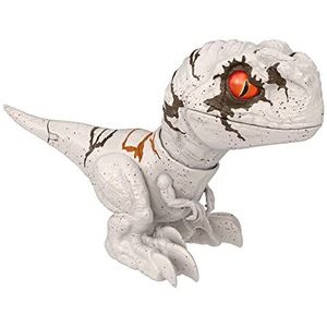 Jurassic World Dominion Ongekooid Wild Brullende Atrociraptor, dinosaursufiguur, speelgoed met interactieve bewegingen en geluid