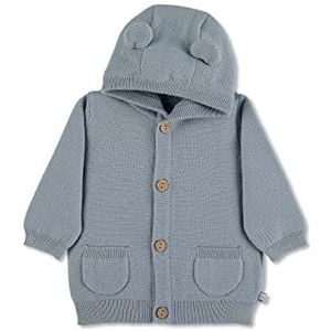 Sterntaler Baby-jongens GOTS gebreide jas Emmi jas, lichtblauw, 74