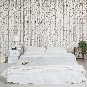 Apalis Vliesbehang hout nummer YK15 berkenwand breed | vliesbehang wandbehang muurschildering foto 3D fotobehang voor slaapkamer woonkamer keuken | meerkleurig, 94754