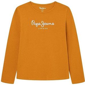 Pepe Jeans Hana Glitter L/S T-shirt voor meisjes, Geel (okergeel), 14 jaar