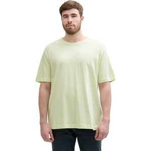 TOM TAILOR Plussize T-shirt voor heren, 29078 - Lime Cream Green, 4XL