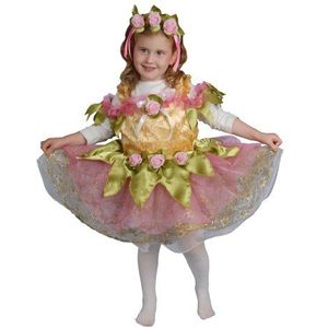 Dress Up America Kleine Ballerina Van Meisjes Kostuum Set