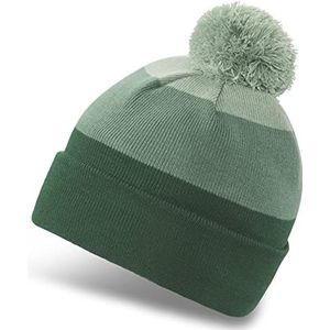 Dakine Jackson Beanie Muts - Dark Ivy/Basil/Trek Green