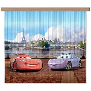 AG Design Disney Cars gordijn/gordijn, voor de kinderkamer, 2-delig, stof, multicolor, 180 x 160 cm