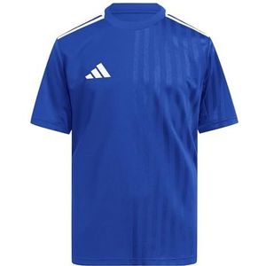 adidas Unisex niños CAMPEON25 JERSEY KIDS, team royal blue/white, 5-6 Years