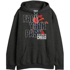 cotton division Sweatshirt met capuchon voor heren, antraciet gemêleerd., M