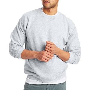 Hanes EcoSmart SweatshirtEcoSmart voor heren ecosmart Sudadera moletom Ecosmartarrr Cher Annnnnnnnnnnnnnnrrrrrrrrrren Ecosmart-sweatshirt, As, S