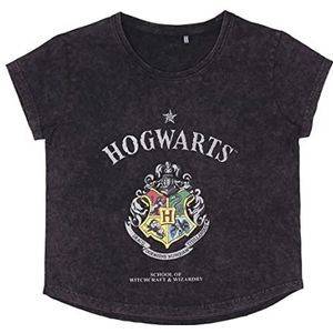 CERDÁ LIFE'S LITTLE MOMENTS Dames Harry Potter kleur donkergrijs - officiële Warner Bros, meerkleurig, normaal T-shirt, passend bij jouw huidige maat