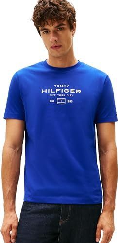 Tommy Hilfiger Heren Hilfiger Stack Graphic TEE MW0MW40002 S/S T-shirt, blauw, XS, Blauw (Wedge Blue), XS