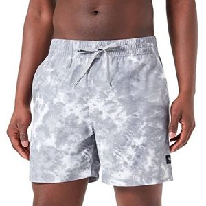 Vans Heren All Over Vanphibian Volley Short, Legering, S, Legering, S