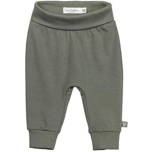 Sterntaler Babybroek voor baby's, uniseks, met comfortabele tailleband, katoenen jersey met elastaan en manchetten aan de broekspijpen, Matgroen, 56