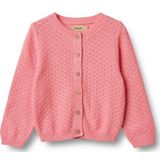 Vest - Effen - Knitwear - Ronde Hals - Lange Mouw - Normale Pasvorm