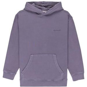 Element Pullover Hoodie LOWCASE PIGMENT PO Y Jongens Zwart M/12