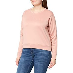 LTB Jeans Dames Nofeda Trui, Grey Gold Lurex 12523, L