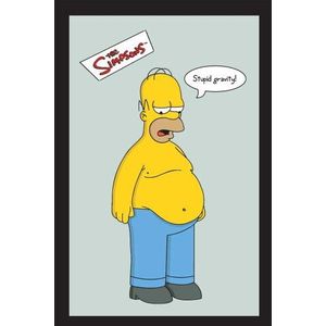 empireposter Simpsons, The Stupid Gravity - afmetingen (cm), ca. 20x30 - Bedrukte spiegel, NIEUW - beschrijving: - Bedrukte wandspiegel met zwart kunststof frame in houtlook -
