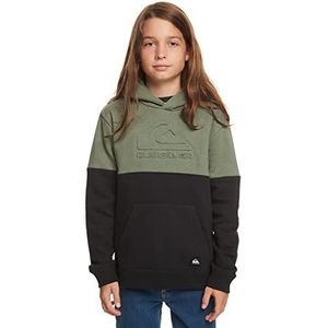 Quiksilver Pullover Jongens Groen L/14