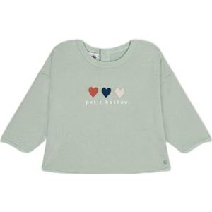 Petit Bateau HERBIE18M Sweatshirt, Herbarium, 9 Maanden