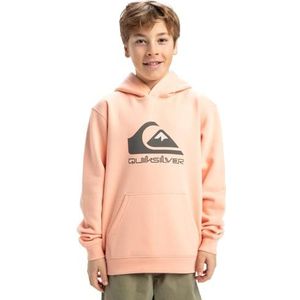 Quiksilver Big Logo Hoodie Youth Fleece Top (1 stuk)