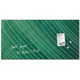 Sigel Gl371 Artverum magneetbord van glas, groen palmblad, 91 x 46 cm, veiligheidsglas