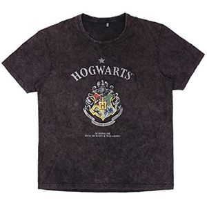 CERDÁ LIFE'S LITTLE MOMENTS Harry Potter T-shirt voor heren, donkergrijs, officieel gelicentieerd product van Warner Bros, meerkleurig, normale maat