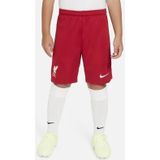 NIKE Unisex Seizoen 2023/2024 Officiële korte korte stadionshort voor thuis