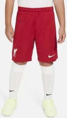 NIKE Unisex Seizoen 2023/2024 Officiële korte korte stadionshort voor thuis