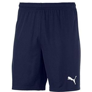 PUMA TeamGoal 23 gebreide shorts voor heren, Peacoat, S