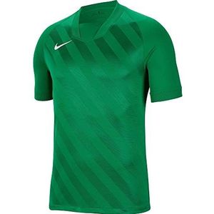 Nike Kinder Challenge III Jersey SS shirt, Pine Green/Pine Green/(White), XL