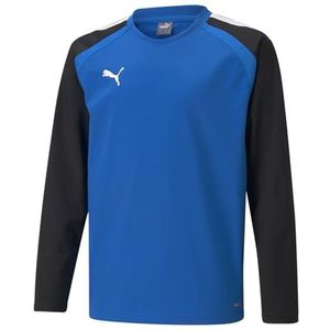 PUMA teamLIGA Training Sweat Jr