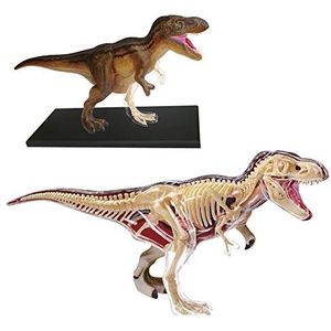 EXPLORA - T-Rex - Paleontologie - 546092 - Realistisch model van 36 stukken - Montagehandleiding en educatieve quiz - Dinosaurus - Ontdekkingsset - Spel voor kinderen - Vanaf 8 jaar