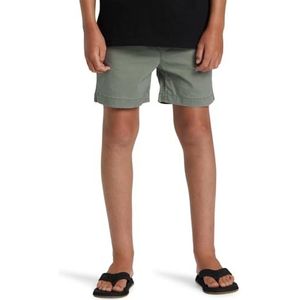 Quiksilver Shorts groen 8.