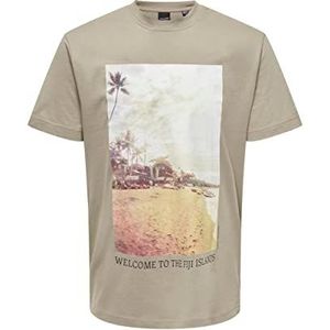 ONLY & SONS Onsanton Reg Ss Tee T-shirt voor heren, khaki (vintage khaki), S