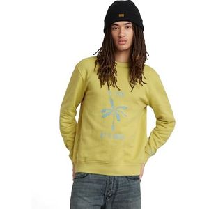 G-Star RAW musa stencil r sw, groen (Linden Green D24703-d557-g306), S