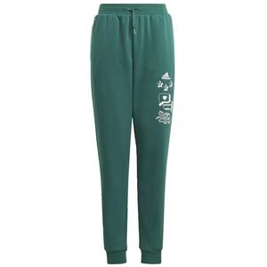 adidas - BLUV Q3 PANT - Trainingsbroek - Groen