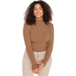 Trendyol Dames rechte lange mouwen getailleerde sweater in plussize, nerts, 4XL/Grote maten