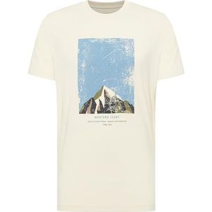 Style Austin, lichtgrijs 3003, S